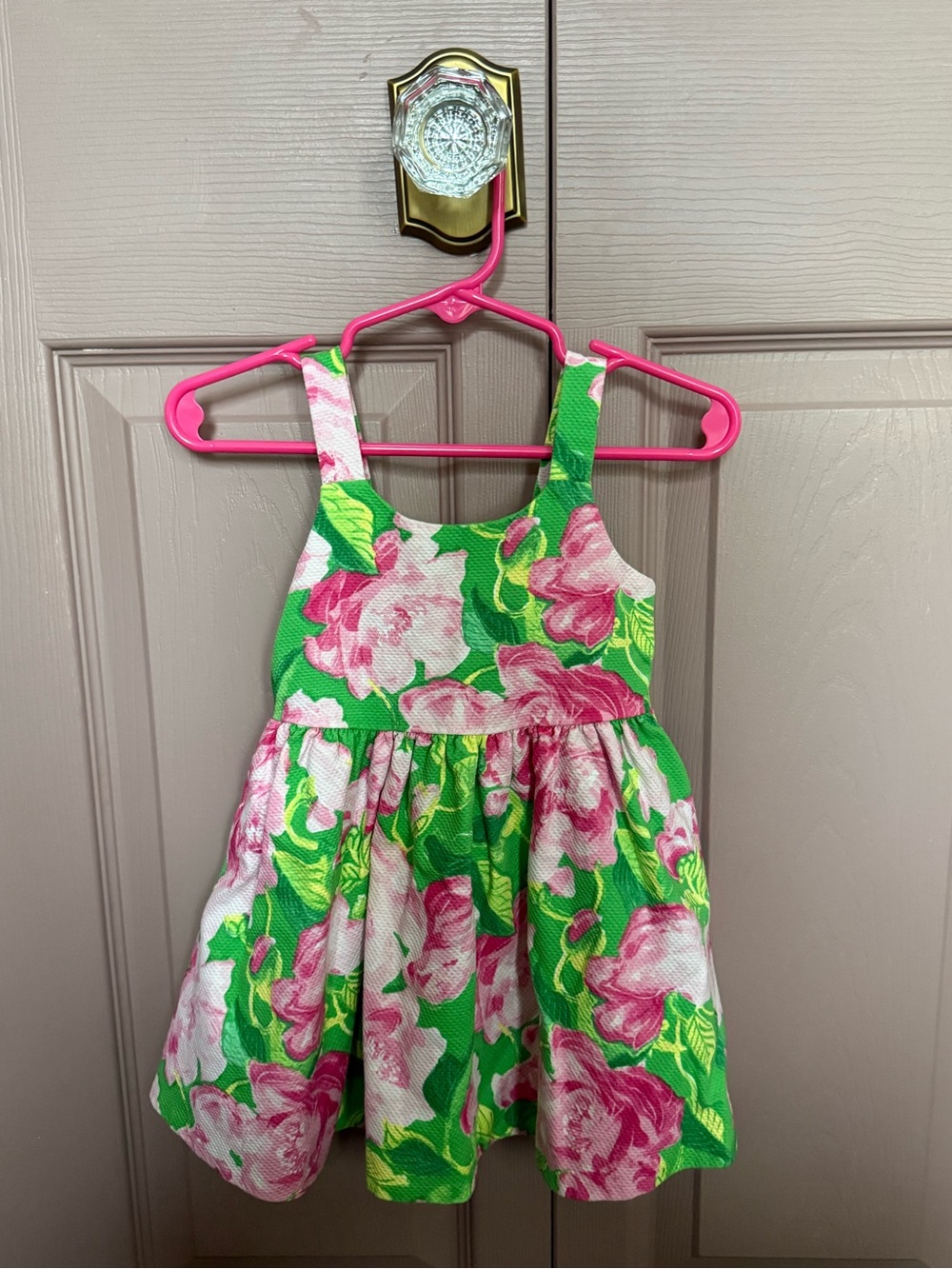 Janie and Jack Pink and Green Floral Cotton Dress